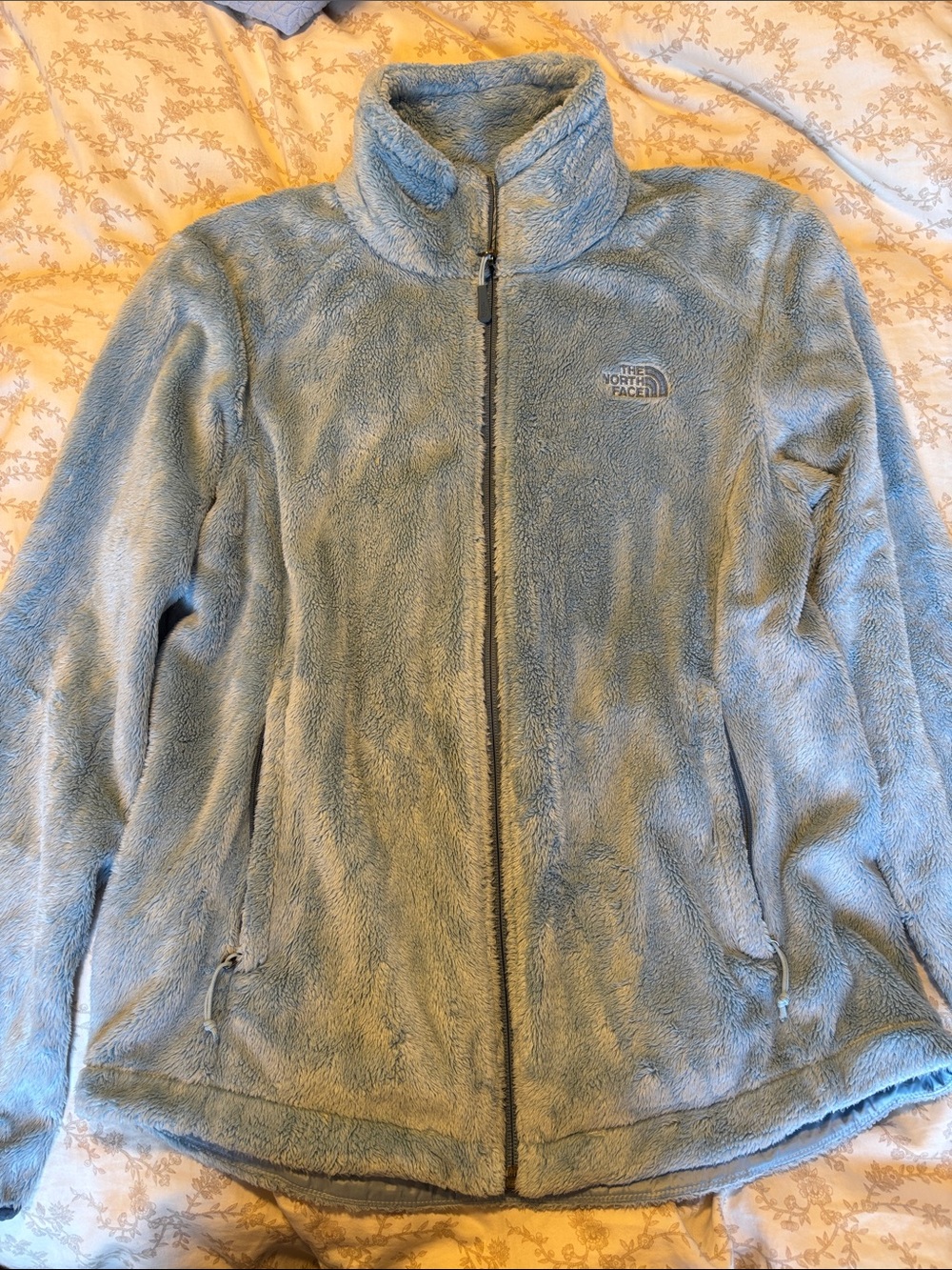 The North Face Pale Blue Women's Teddy Fleece Jacket